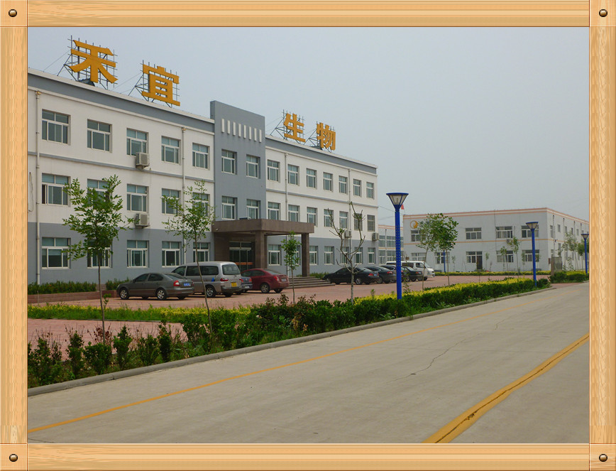 চীন Weifang Heyi Agrochemical Co.,Ltd সংস্থা প্রোফাইল